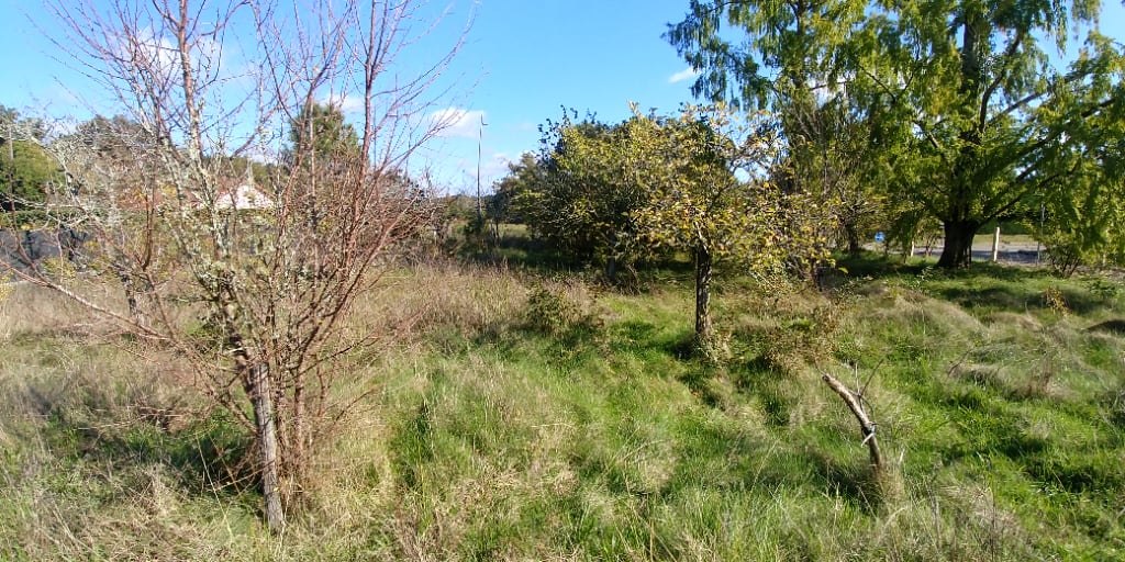 Terrain de 643m2 à 194300€ à vendre sur Bretagne de Marsan (40280)