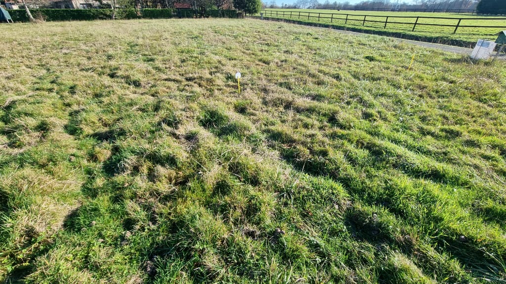Terrain de 912m2 à 196000€ à vendre sur Artassenx (40090)