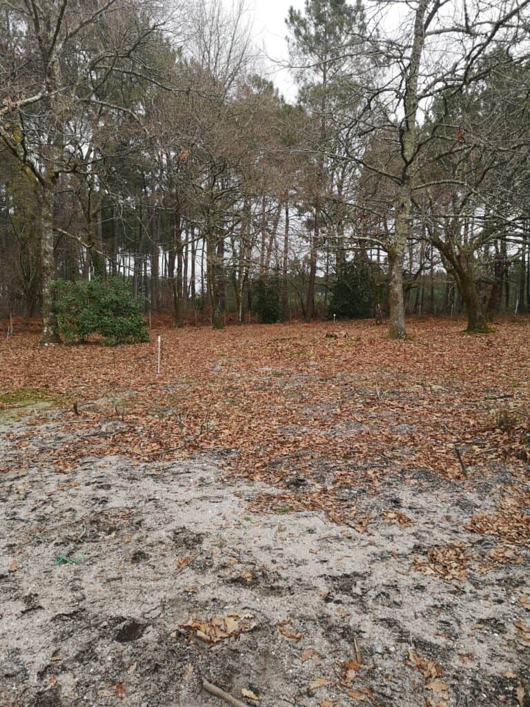 Terrain de 525m2 à 165000€ à vendre sur Belin-Béliet (33830)