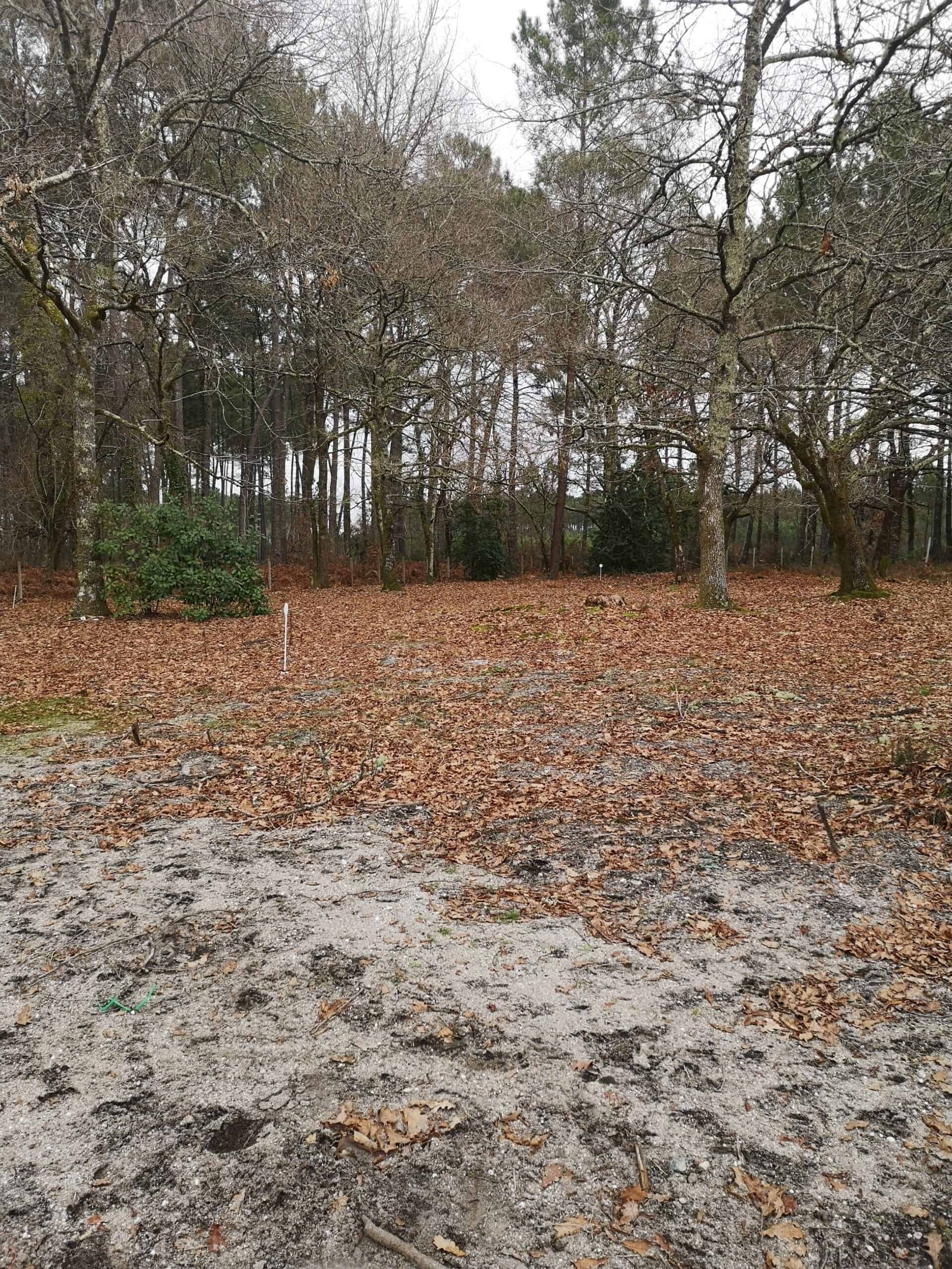 Terrain de 525m2 à 165000€ à vendre sur Belin-Béliet (33830)