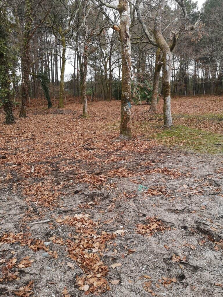 Terrain de 450m2 à 155000€ à vendre sur Belin-Béliet (33830)