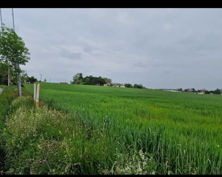 Terrain de 1100m2 à 61000€ à vendre sur Saint Gaudens (31800)